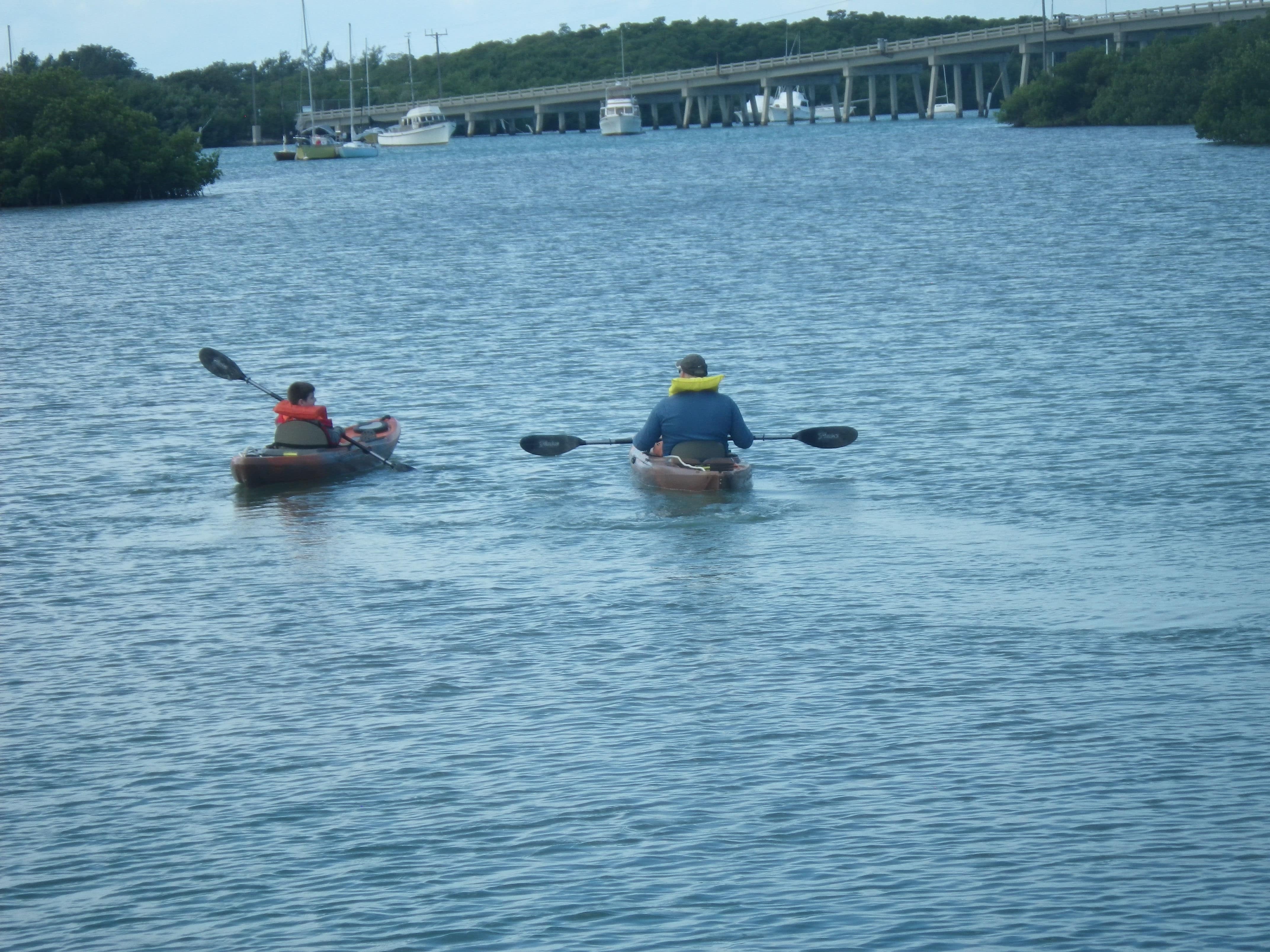 boat traffic