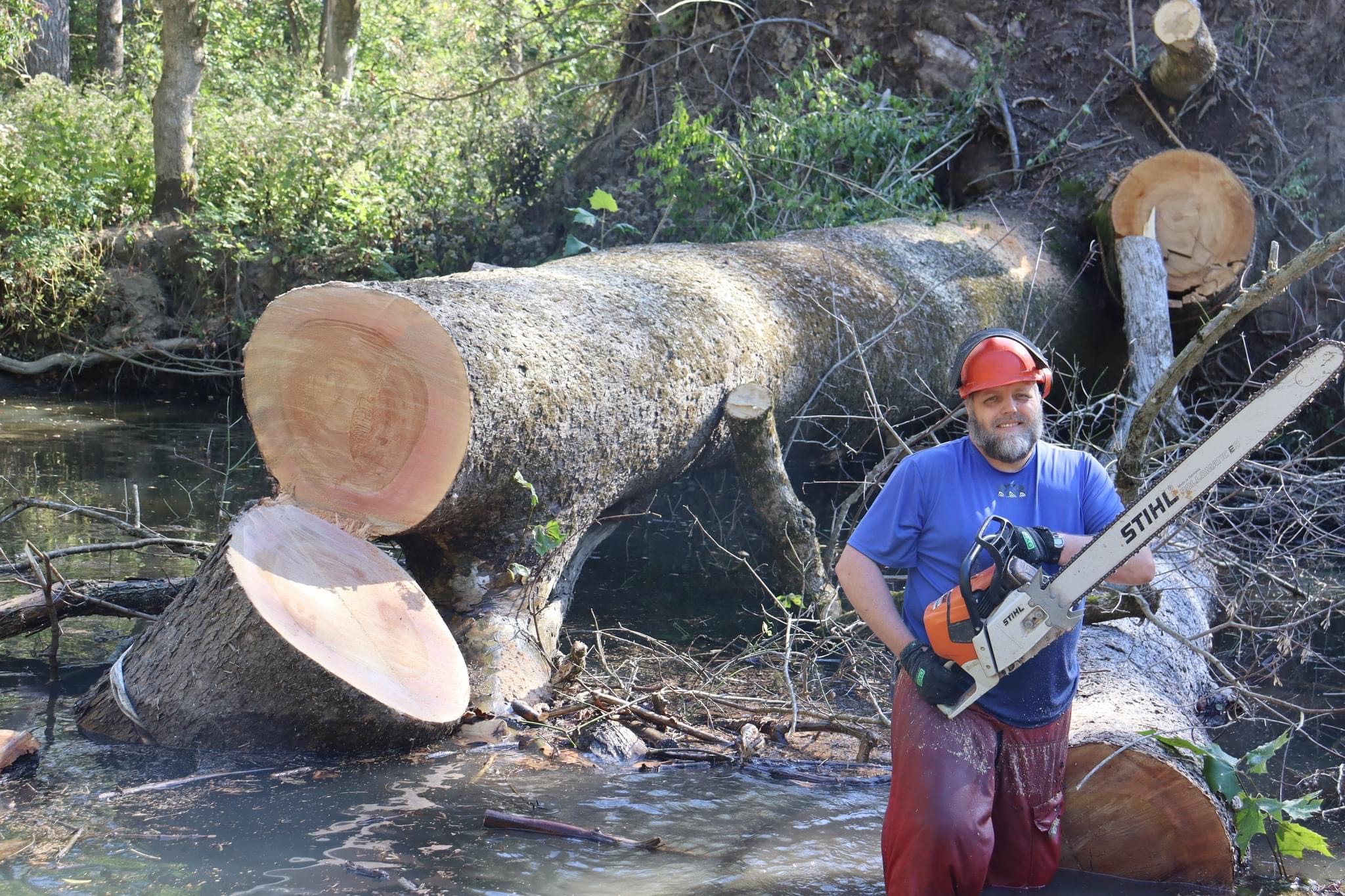 Large Woody Debris​